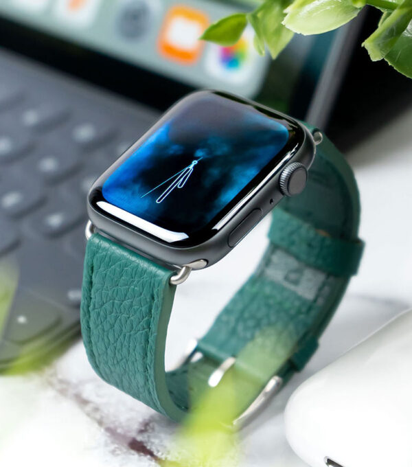 new soft for watch, project